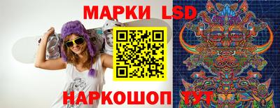 гидропоника Бийск