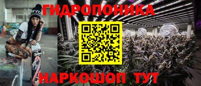 прущие крисы Беслан