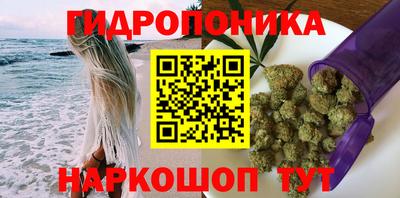 гидропоника Бийск